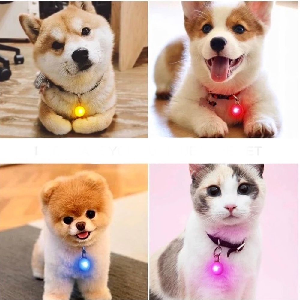 Led Light for Pets NWT - Green - Picture 11 of 13